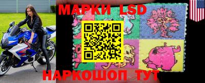 прущие крисы Малгобек