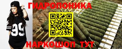 прущие крисы Малгобек