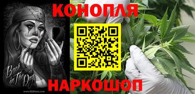 прущие крисы Малгобек