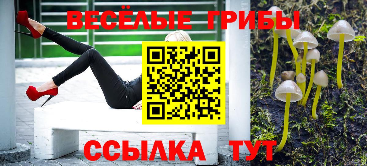 Ханты-Мансийск  Галлюциногенные грибы мухоморы  Вход с VPN  Псилоцибиновые грибы Psilocybine cubensis 