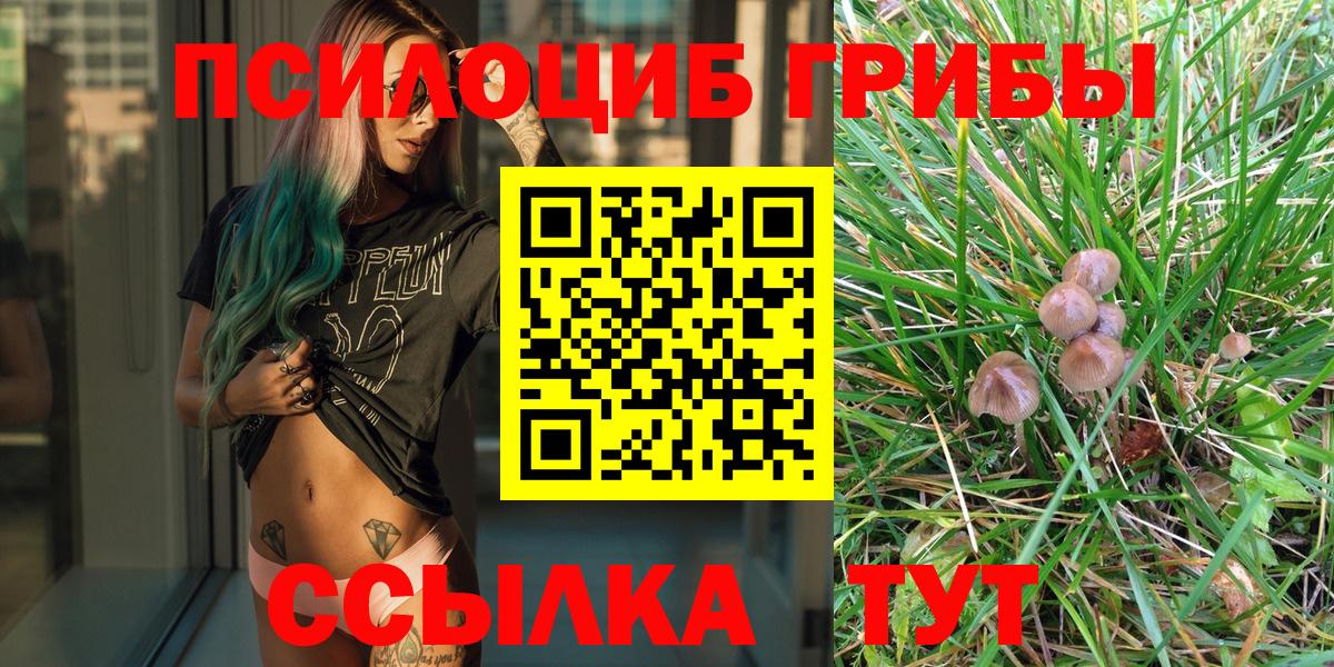 Галлюциногенные грибы GOLDEN TEACHER Ханты-Мансийск